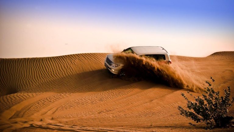 Everything Your Vehicle Needs Before an Off Roading Adventure