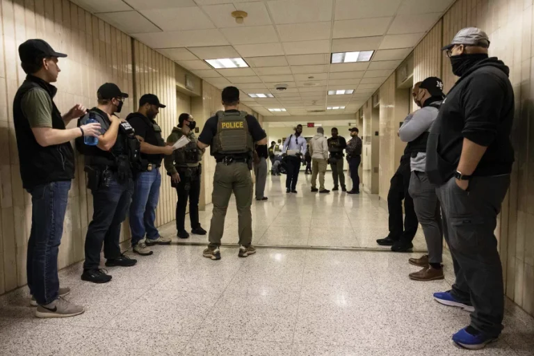 The Role of Federal Judges in Reviewing Immigration Detention